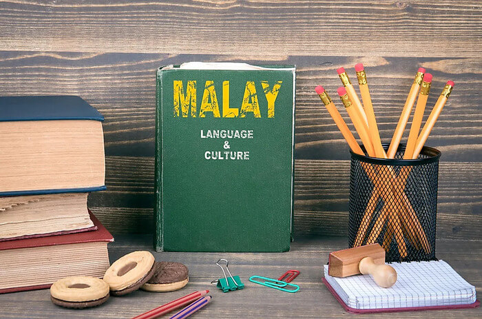 Malaysian - Bahasa Malaysia or simply Malay - is in list of the easiest languages to learn