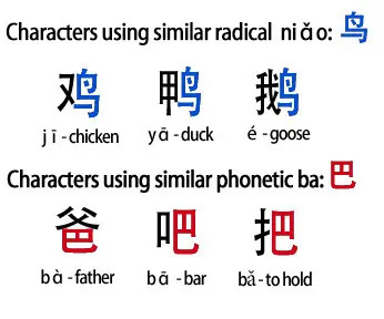 Radicals are the core building blocks of Chinese characters, making it easy to memorize Chinese characters