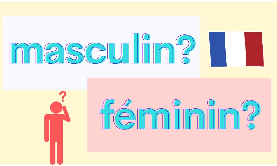 In French, every noun has a gender, and it’s important to remember the articles that go with them