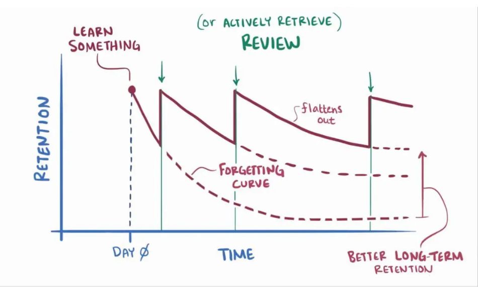 Spaced repetition ensures what you learn actually sticks, making learning French quickly much more effective