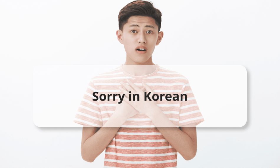 With these phrases in your back pocket, you’ll never be panic when saying I’m sorry in Korean