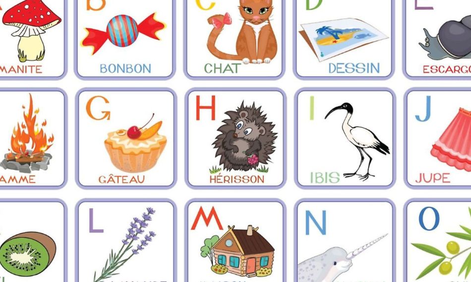 Your brain loves pictures—use them to make French vocab unforgettable