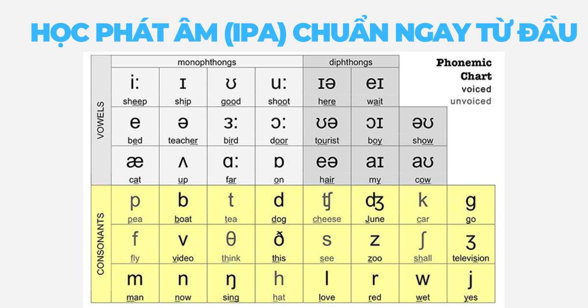 Top 10 mẹo học tiếng Anh cho người mất gốc
