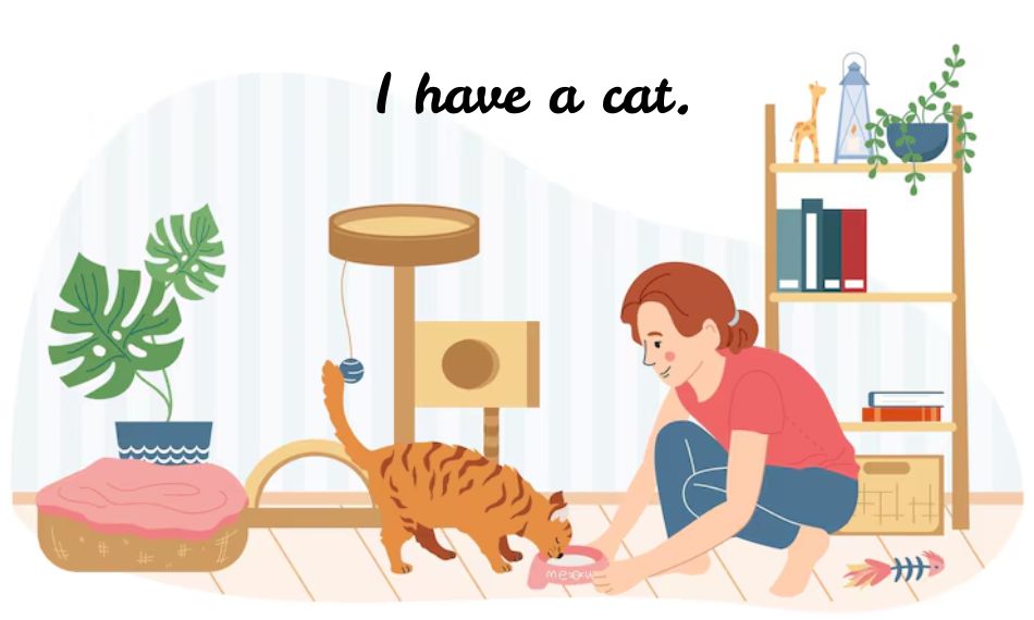 Cấu trúc “have” trong tiếng Anh được dùng rộng rãi trong nhiều tình huống hàng ngày.