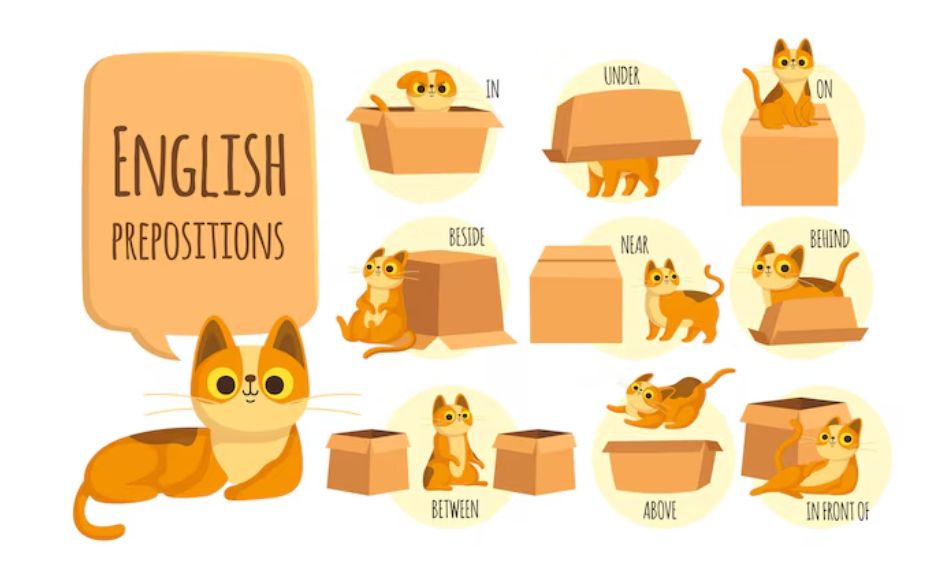 Prepositions play a vital role in building meaningful phrases and simple everyday sentences.