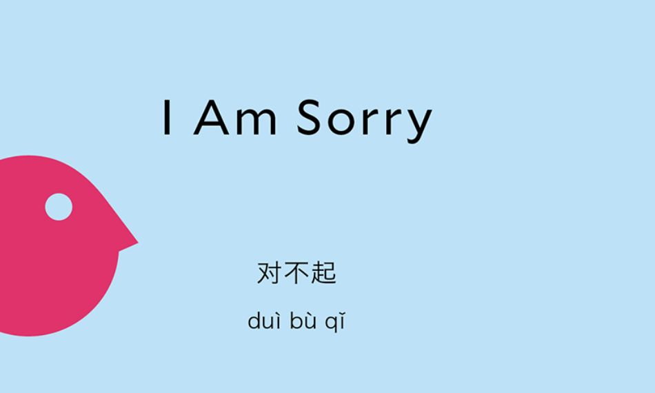 Understanding Dui bu qi helps learners express apologies politely and correctly in Chinese.