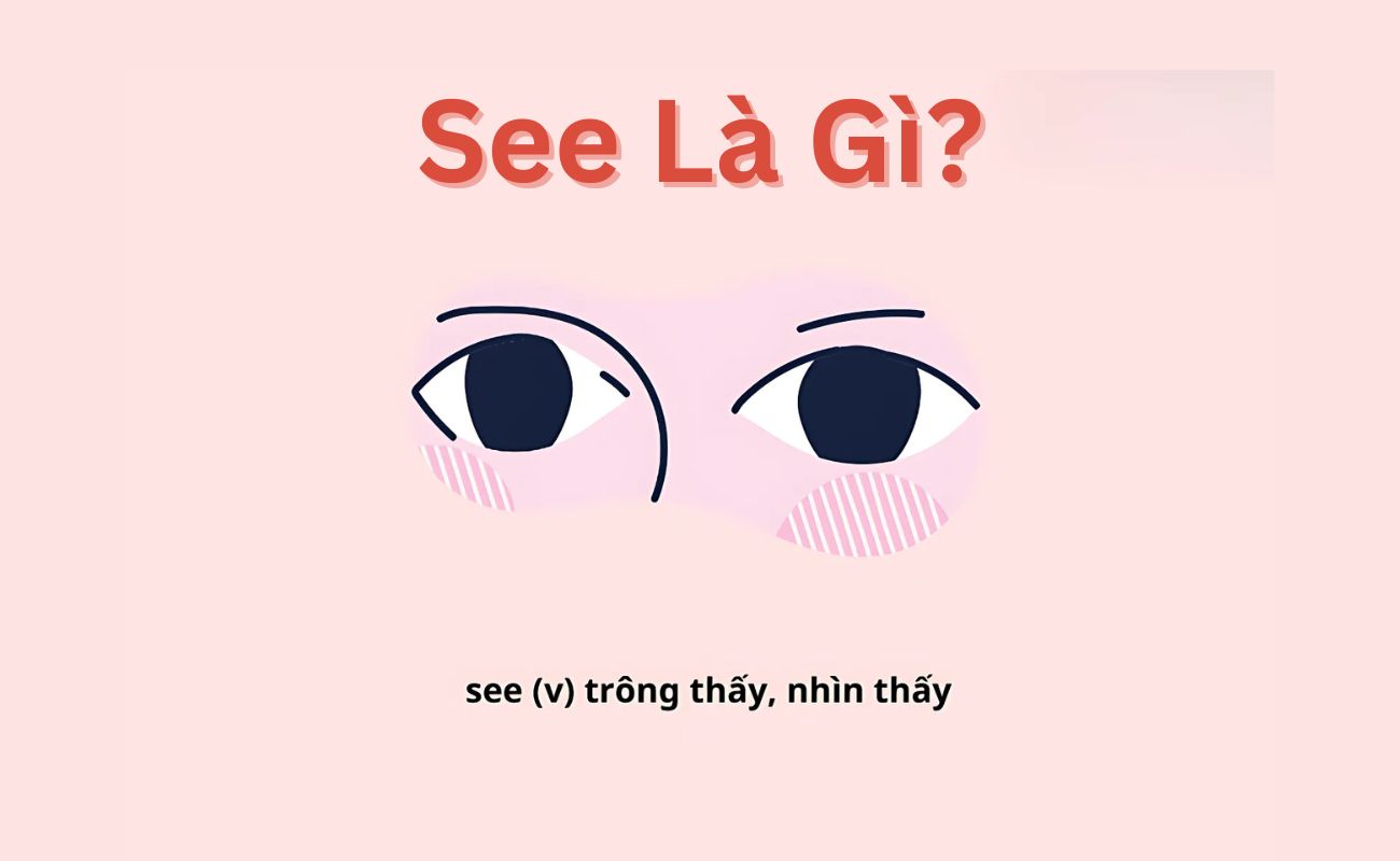 See là gì?