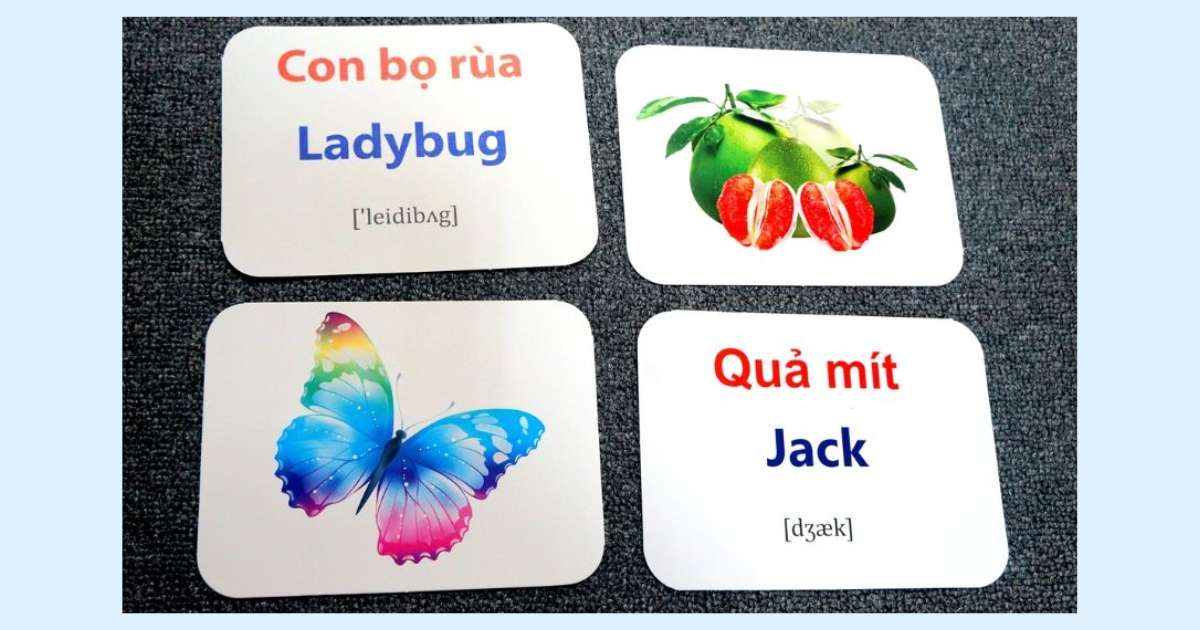 Flashcard tiếng Anh dịch thuật