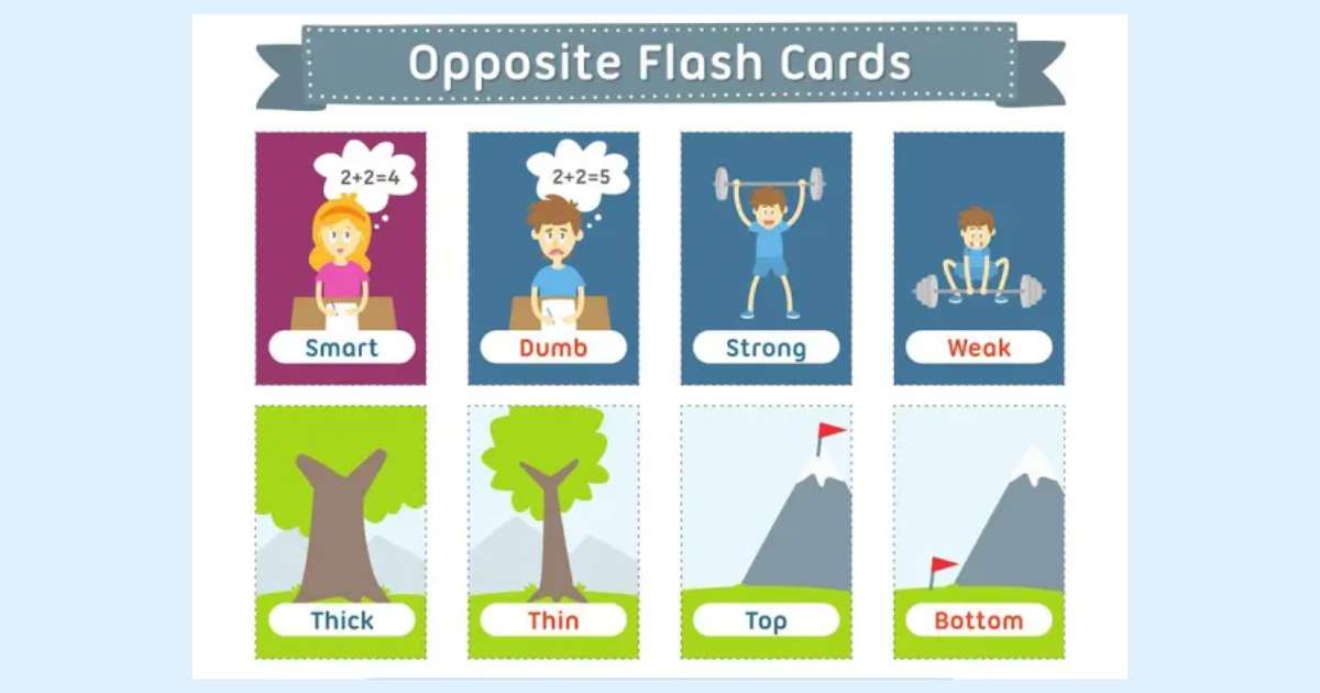 Flashcard tiếng Anh từ trái nghĩa