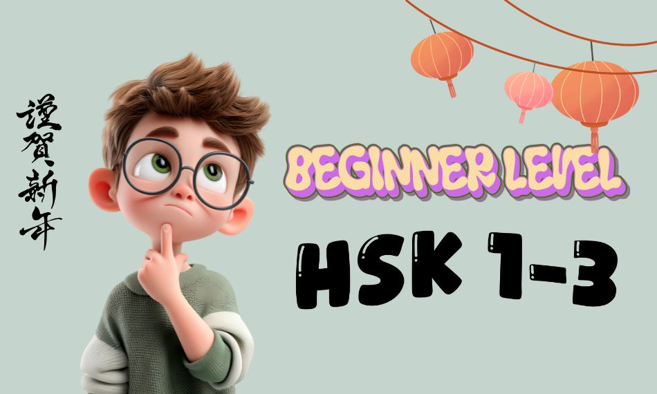 Beginners can start with HSK certificate basics and simple conversations.