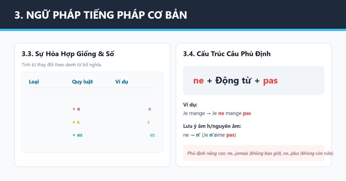 Ngữ pháp tiếng pháp cơ bản