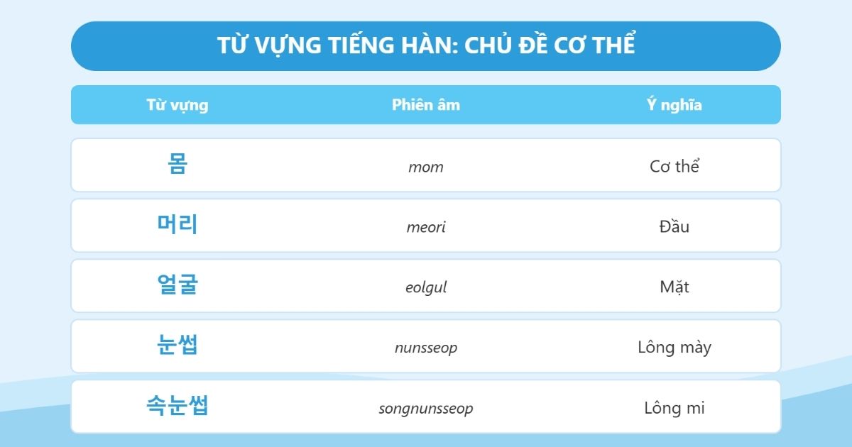 từ vựng tiếng hàn chủ đề cơ thể